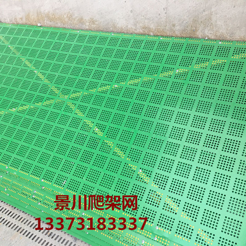 噴塑爬架網(wǎng)
